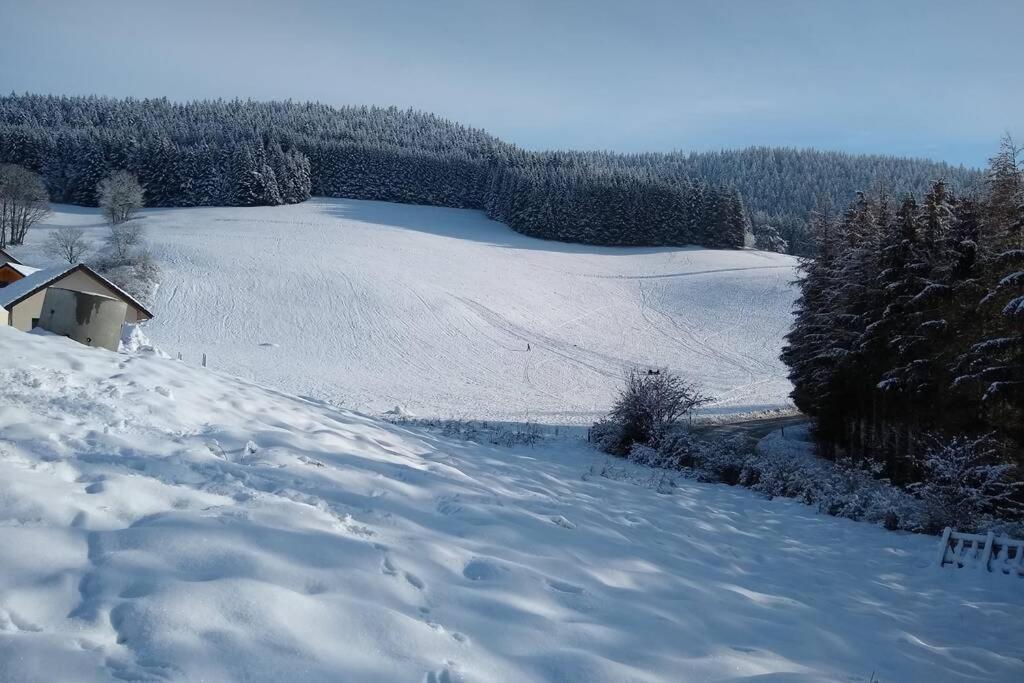 Appartement Dans Maison, A Proximite Du Village Villard-de-Lans Buitenkant foto